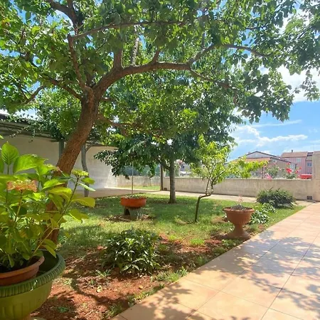 Apartment Pjero